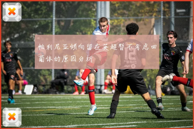 帕利尼亚倾向留在英超暂不考虑回葡体的原因分析