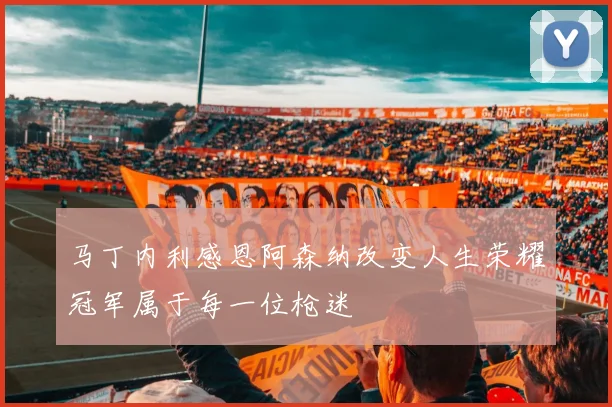 马丁内利感恩阿森纳改变人生荣耀冠军属于每一位枪迷